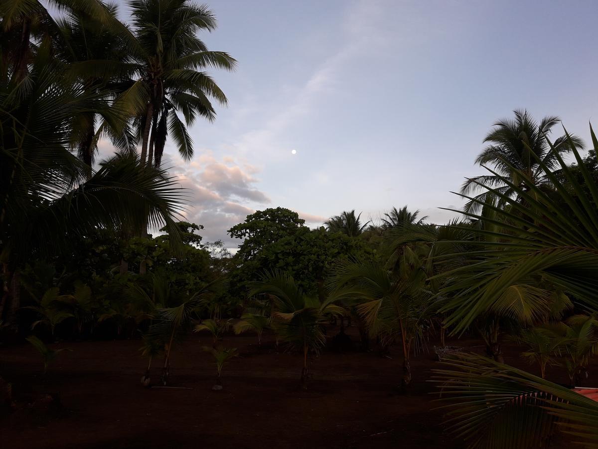 Hostal Pachamama Isla de Canas Eksteriør bilde