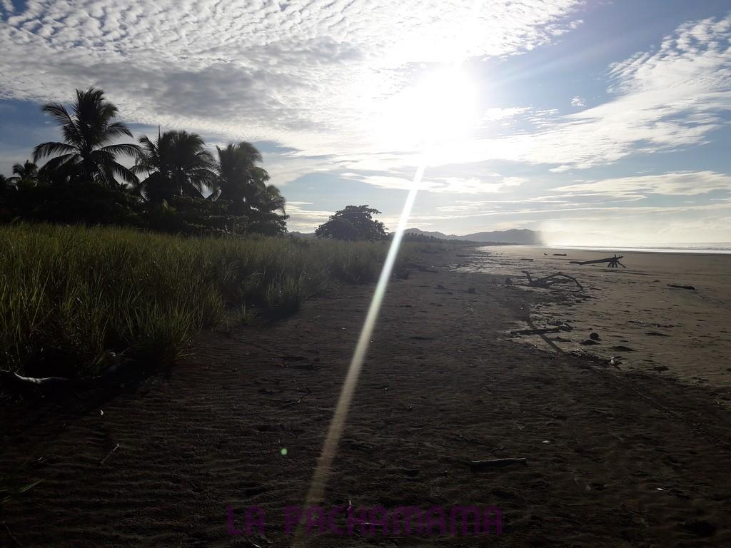 Hostal Pachamama Isla de Canas Eksteriør bilde