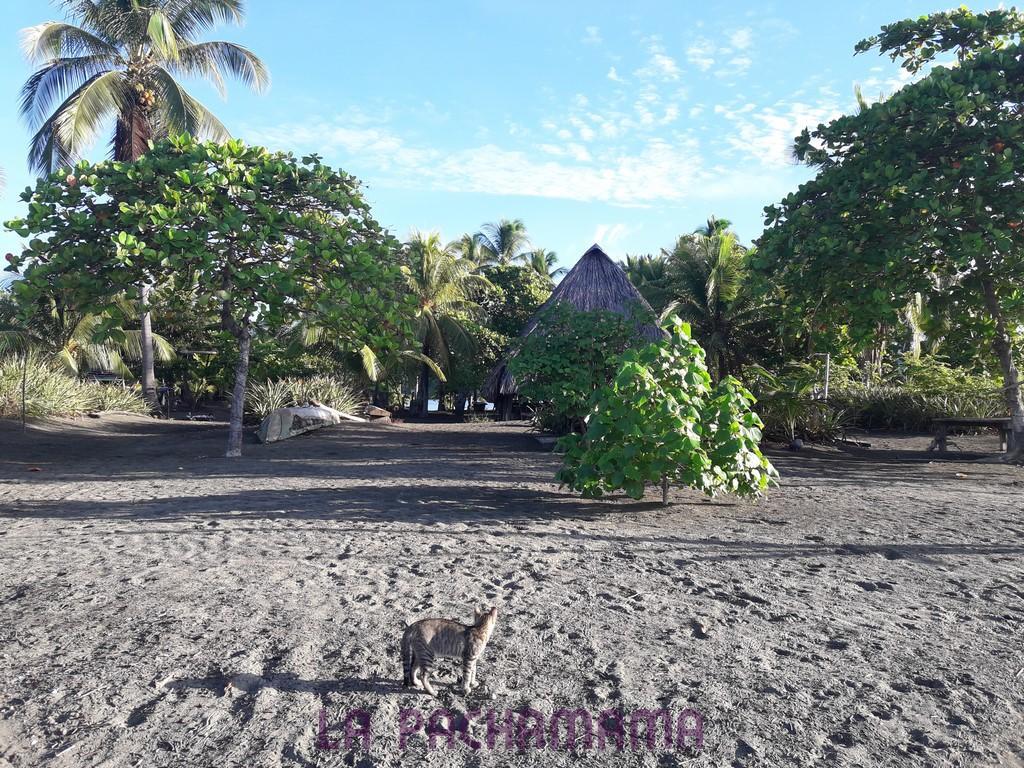 Hostal Pachamama Isla de Canas Eksteriør bilde