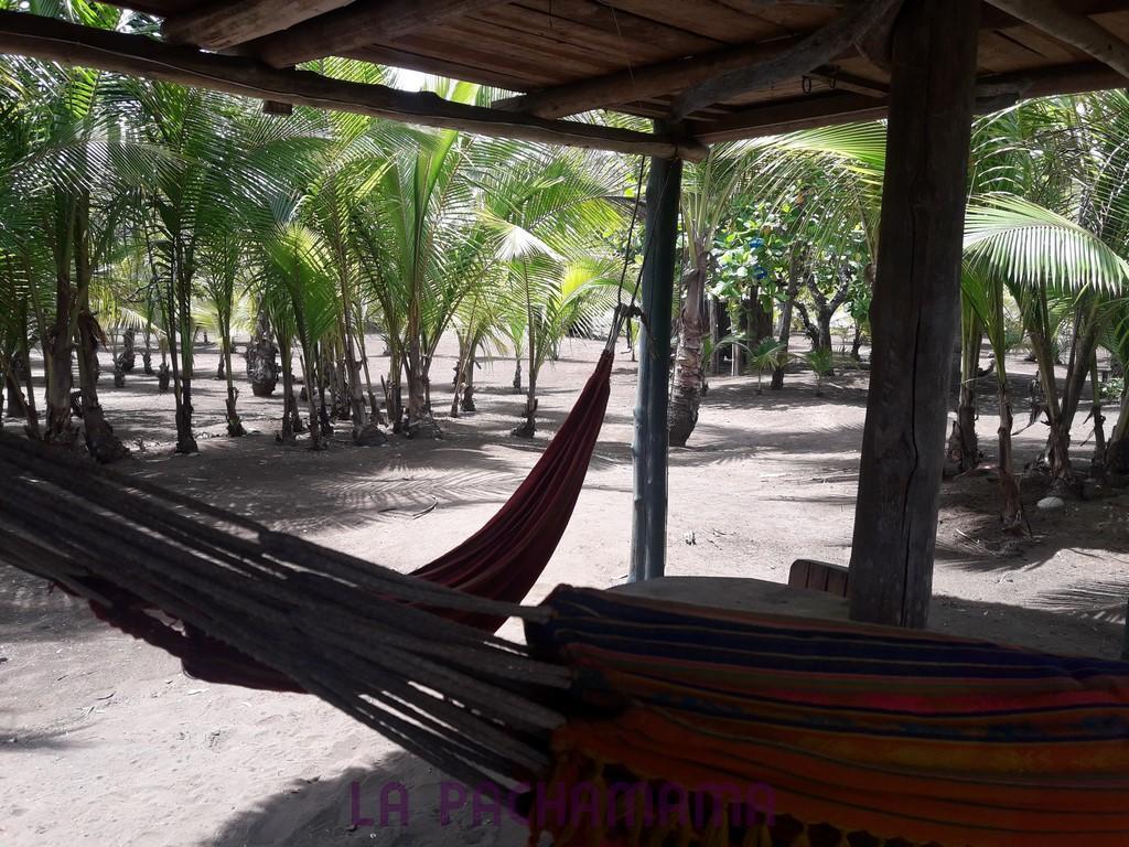 Hostal Pachamama Isla de Canas Eksteriør bilde