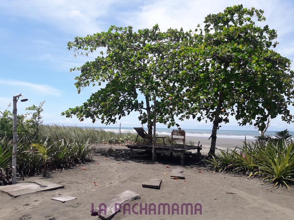 Hostal Pachamama Isla de Canas Eksteriør bilde