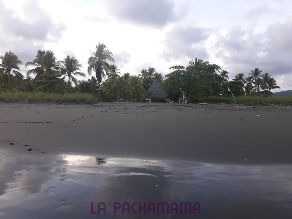 Hostal Pachamama Isla de Canas Eksteriør bilde