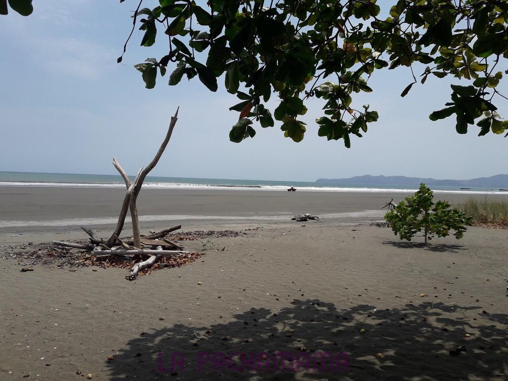 Hostal Pachamama Isla de Canas Eksteriør bilde