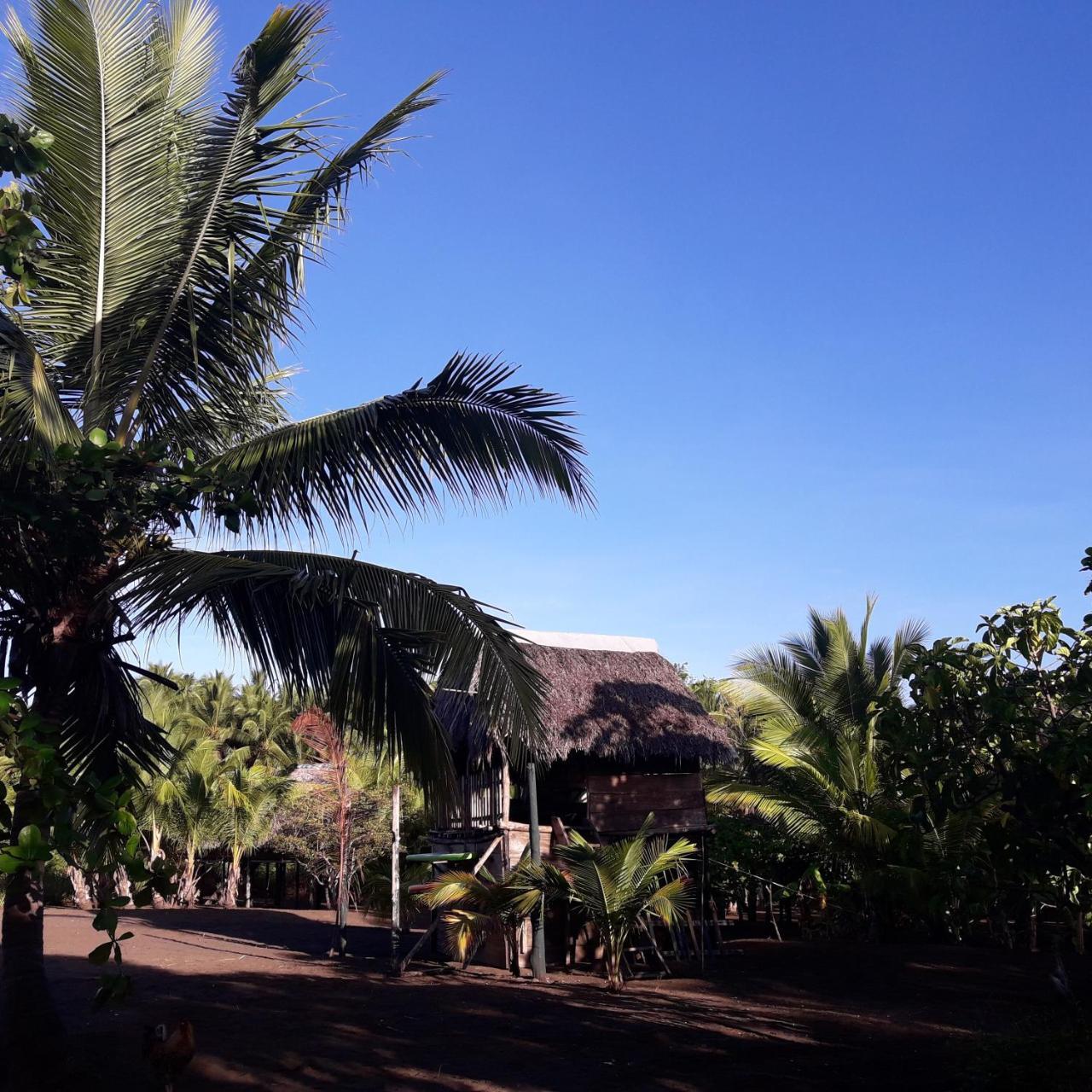 Hostal Pachamama Isla de Canas Eksteriør bilde